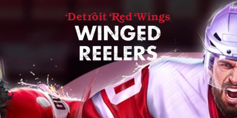 Detroit Red Wings Winged Reelers: Хоккей на барабанах – разбор полетов