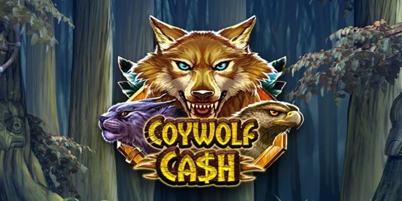 Coywolf Cash: Короткий обзор слота